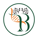 3B BlackBio DX