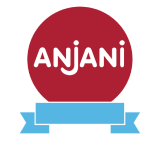 Anjani Synthetics