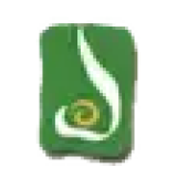 Bengal Tea & Fabrics