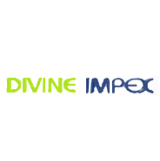 DEVINE Logo