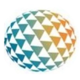 Globe International Carriers