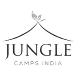 Jungle Camps