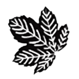 Seasons Textiles