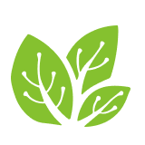 Shanthala FMCG Products