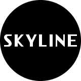 Skyline Ventures India