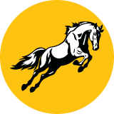 Tembo Global Industries
