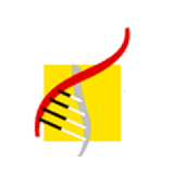 Transgene Biotek