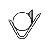 Vikalp Securities